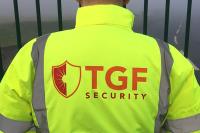 TGF Security image 2